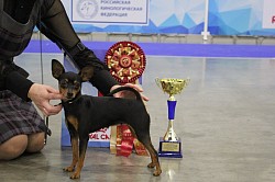 Роксана Из Созвездия Ники